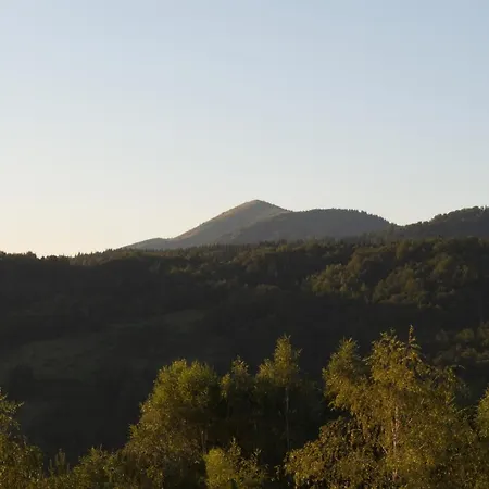 Attic 7 Apartamento *